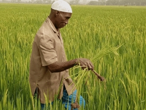 Réduction de la pauvreté : l’expérience de la Chine fait ses preuves au Burkina