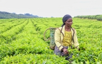 TRIBUNE: l'urgence d'un financement inclusif
