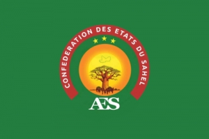 AES : vers une opérationnalisation accélérée de la BCID
