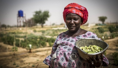 ZLECAf : Libérer le potentiel de la zone de libre-échange de l'Afrique pour les femmes rurales