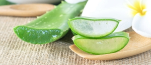 Les façons simples d’(ab)user de l’aloe vera, cette plante miracle